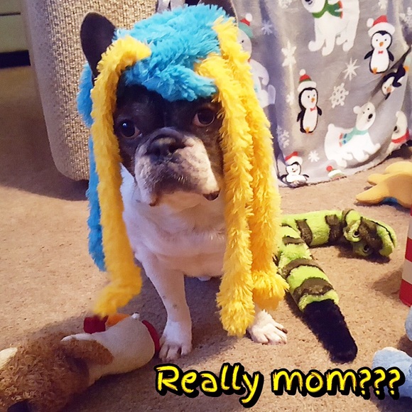 my “kids”—Bully & Lily‼️😍😍 - Picture 5 of 6